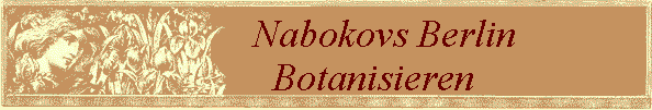 Nabokovs Berlin              
 Botanisieren